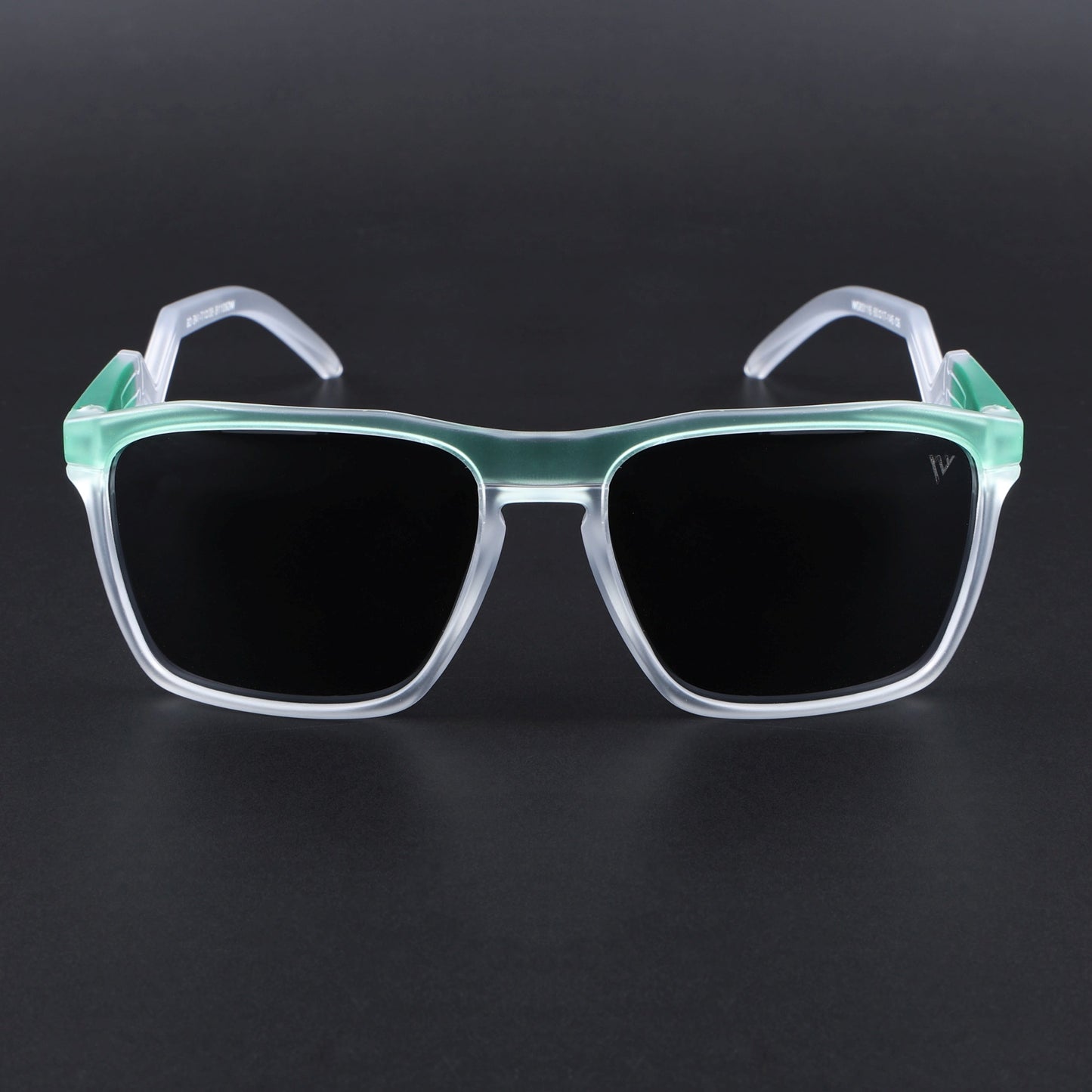 Radar 2.0 | Wayfarer Polarized Sunglasses | Black Lens | Green & Transparent Frame - PMG6757