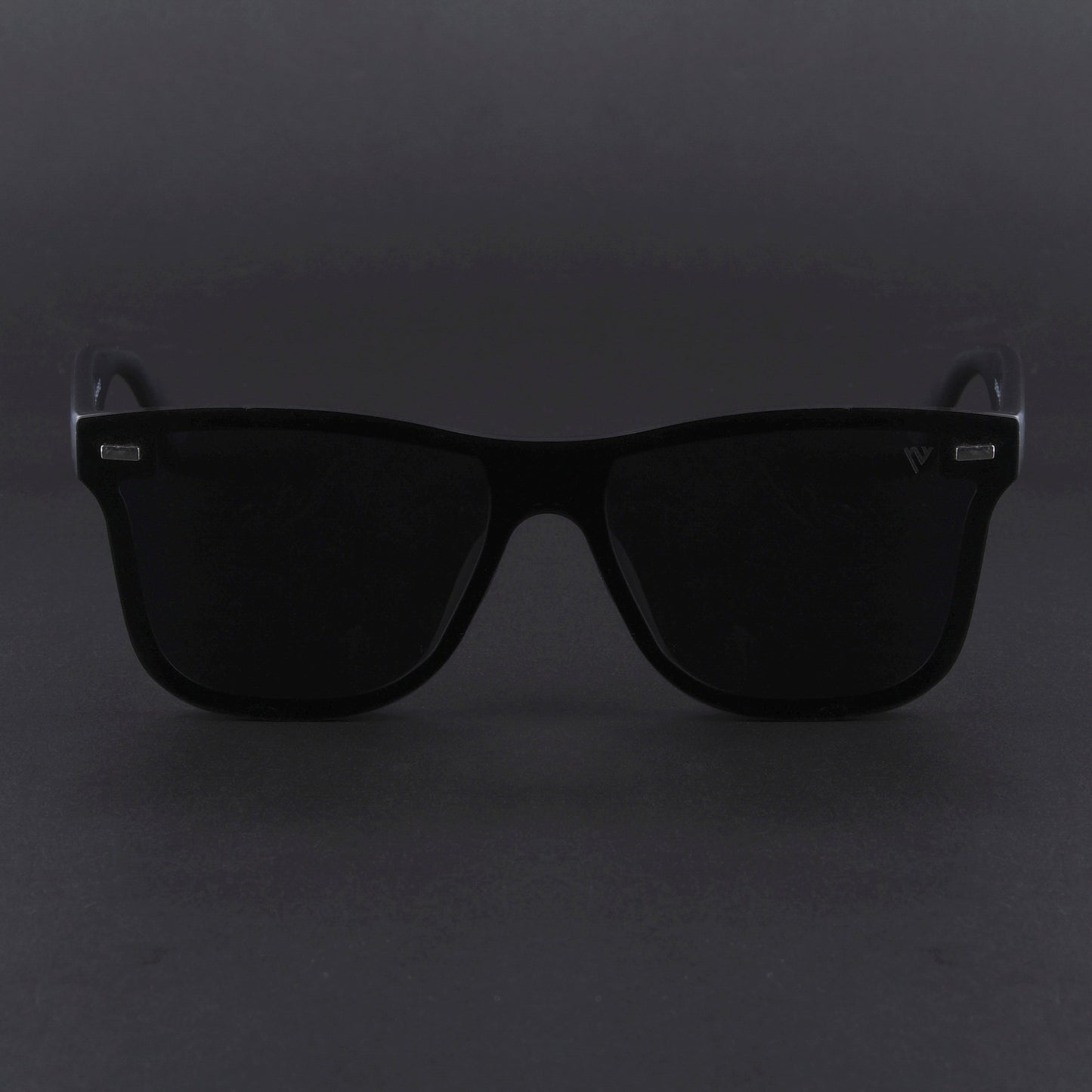 Mooze | Matte Black Polarized Wayfarer Sunglasses | PMG3977